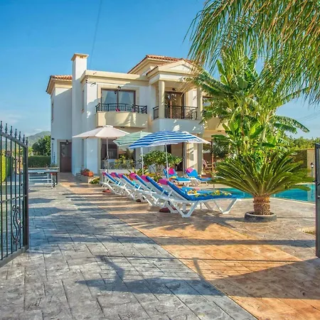 Dora' S アルガカ