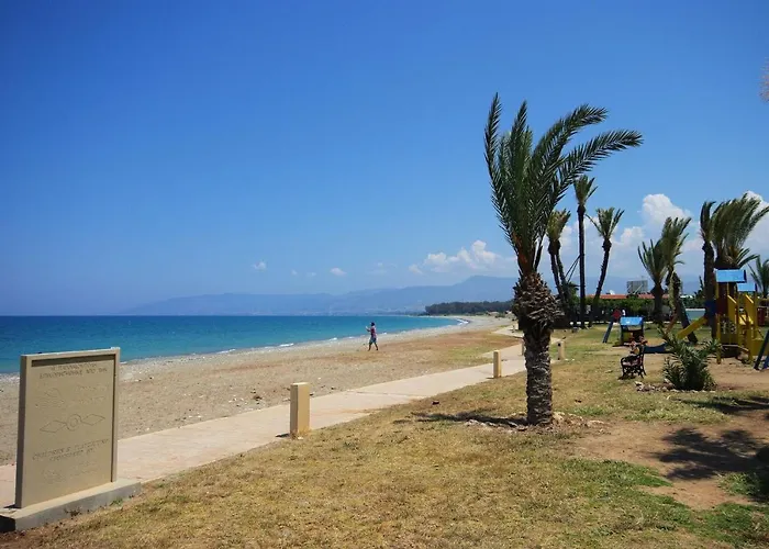 Dora' S アルガカ